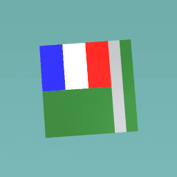 this is the France flag