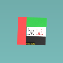 U.A.E FLAG