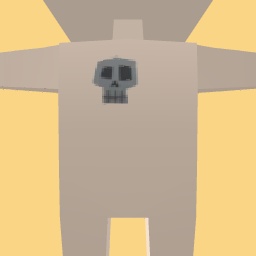 new costume