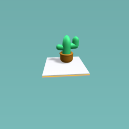 My cactus