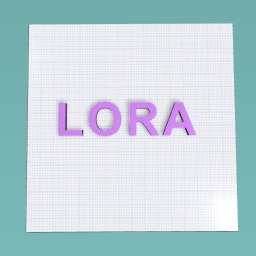 Lora’s Design
