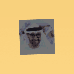 الشيخ محمد بن زايد