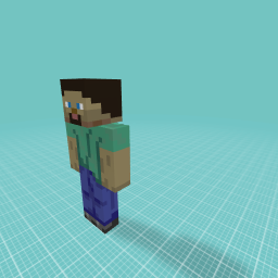 Steve Minecraft