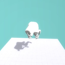 Backflilp