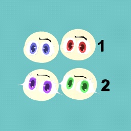 Which one do you like?