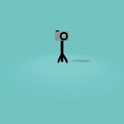 Camera on tripod
