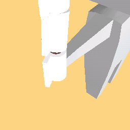 toilet paper
