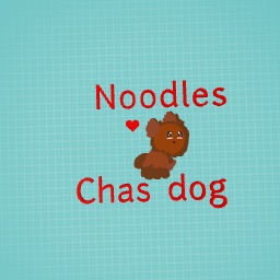 Noodles! Charlis adorable dog!!!