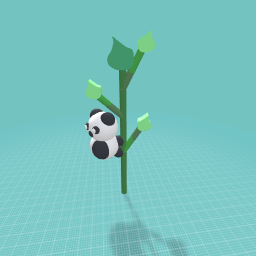 Panda bear