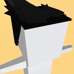 The robloc hair everone likes