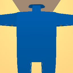 new costume