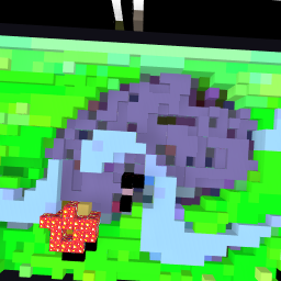 tourtuga
