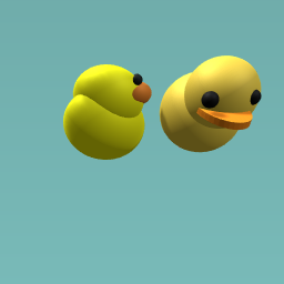 Two cute ducks!