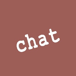 CHAT :)