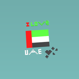 UAE FLAG