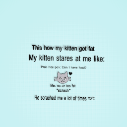 My kitten be like-