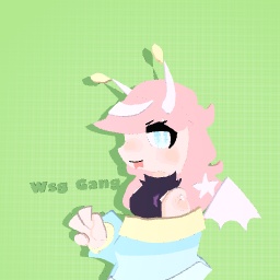 Wsg gang