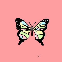 Butterfly (finshed)