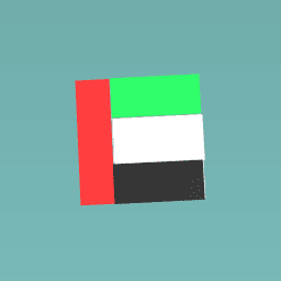 u.a.e flag