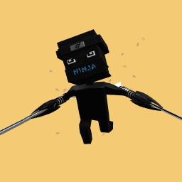 Ninja