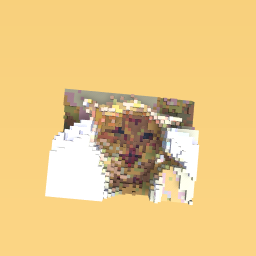 Ginger cat