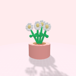 A flower