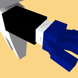 Bitterlucky robotic arm