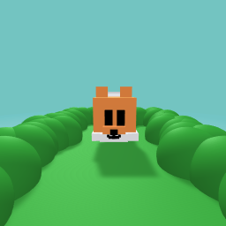 Cute fox