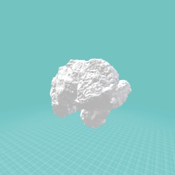 A rock