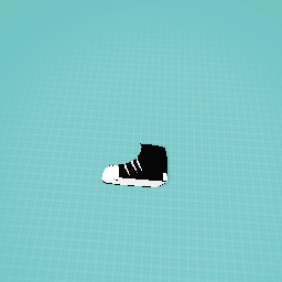 Shoe
