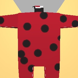 Ladybug suit