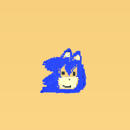 Sonic the hedgehog