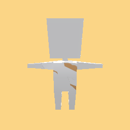new costume