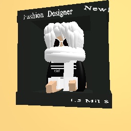 Fashion Designer