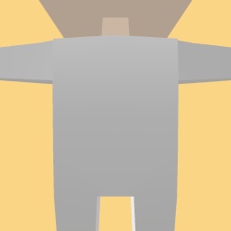 new costume