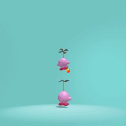 Flying Kirby Ride