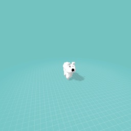 Polar bear