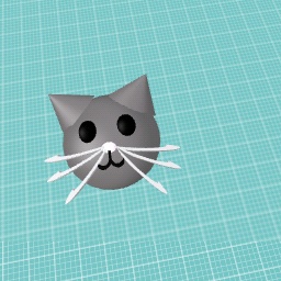 Cat compition