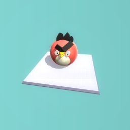 e cutest bird