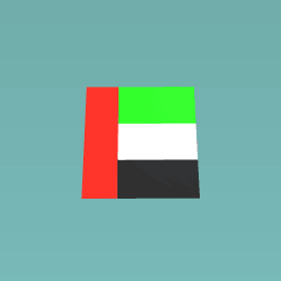 U.A.E flag