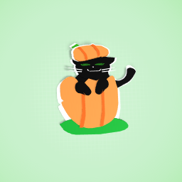 Black pumpkin cat :3