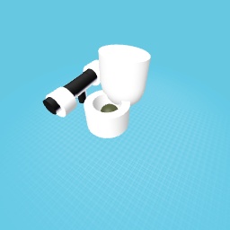 A toilet