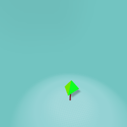 Bloosm Tree Sapling