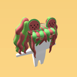 Watermelon hair style