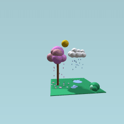 The sun and the Rain!