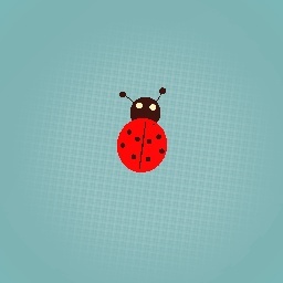 Little ladybug