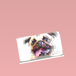 Pug