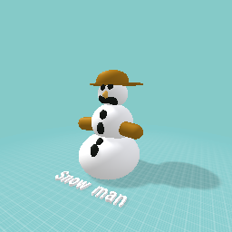 Snow man