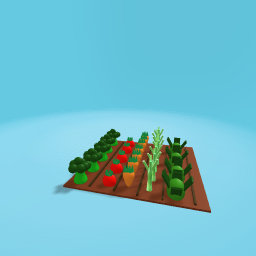 My vegetable garden (By my brother)