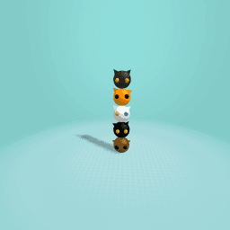 cat stack